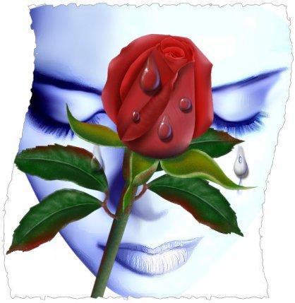 chof zin ahmar